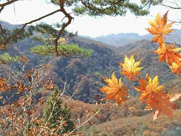 世纪华通：股票简称变更为“ST华通” 11月7日开市起停牌一天